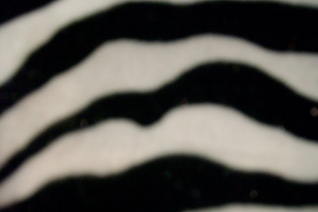 1.Black-white Zebra Velvet